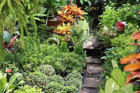  My Philippine Garden: A Practical Guide for Filipinos - Unleashing the Verdant Soul within Filipino Soil!